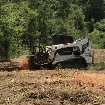 Forestry Mulching 2